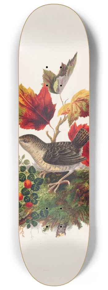 Louis Prang - Bird with Autumn Leaves 8.25 inch art skate deck