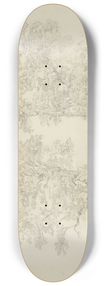 Ludwig Metz - Trees at the Ammer 8.25 inch art skate deck