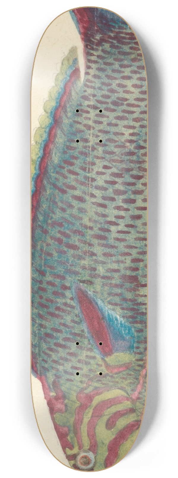 Luigi Balugani - A Fish 8.25 inch art skate deck