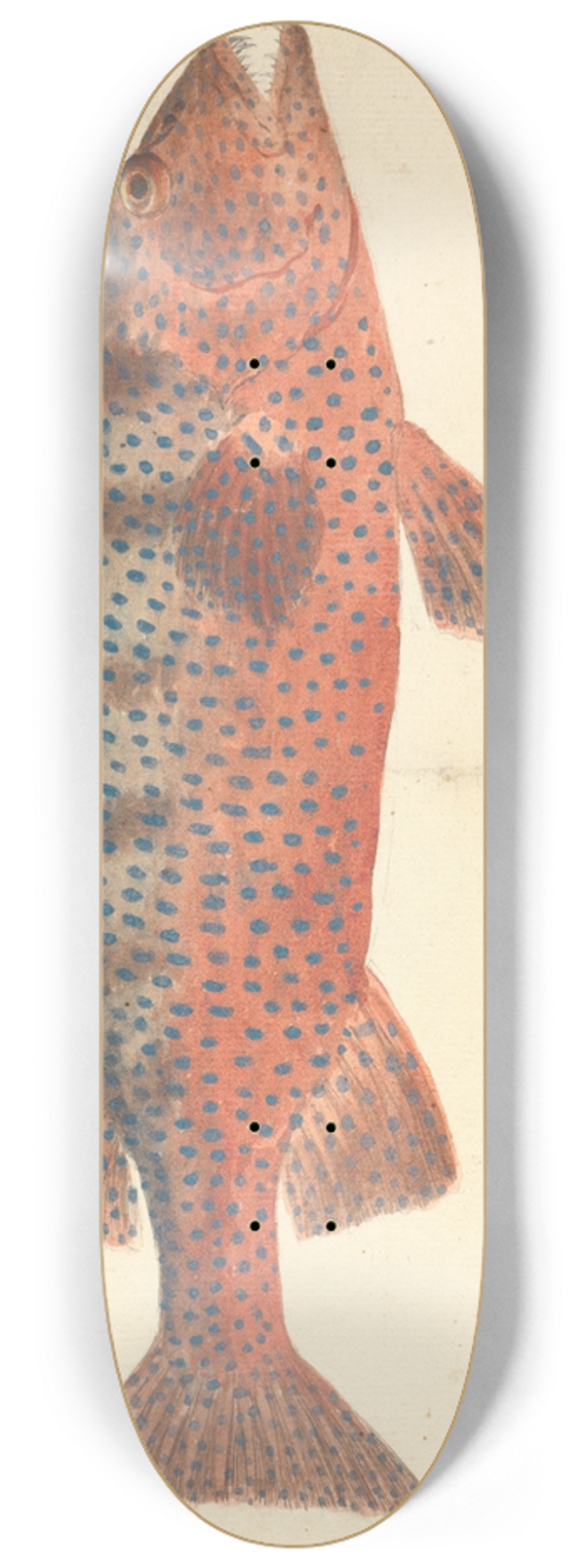 Luigi Balugani - Najel 8.25 inch art skate deck