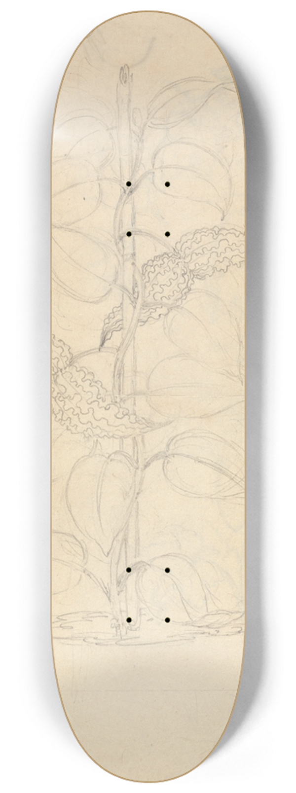 Luigi Balugani - Scangho 8.25 inch art skate deck