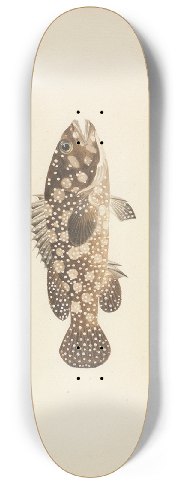 Luigi Balugani - Unidentified Fish 8.25 inch art skate deck