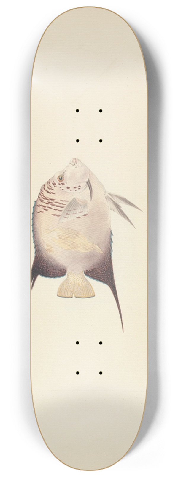 Luigi Balugani - Unidentified Fish 8.25 inch art skate deck