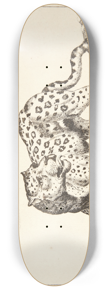 Marcus de Bye - Stende leopard 8.25 inch art skate deck