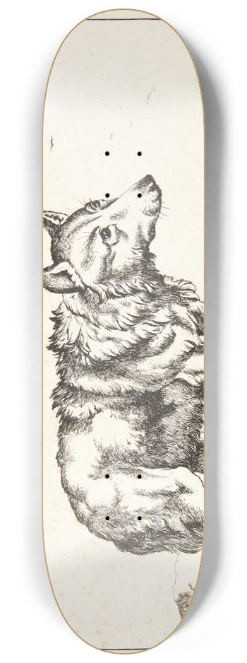 Marcus de Bye - Stende ulv, vendt mod hjre 8.25 inch art skate deck