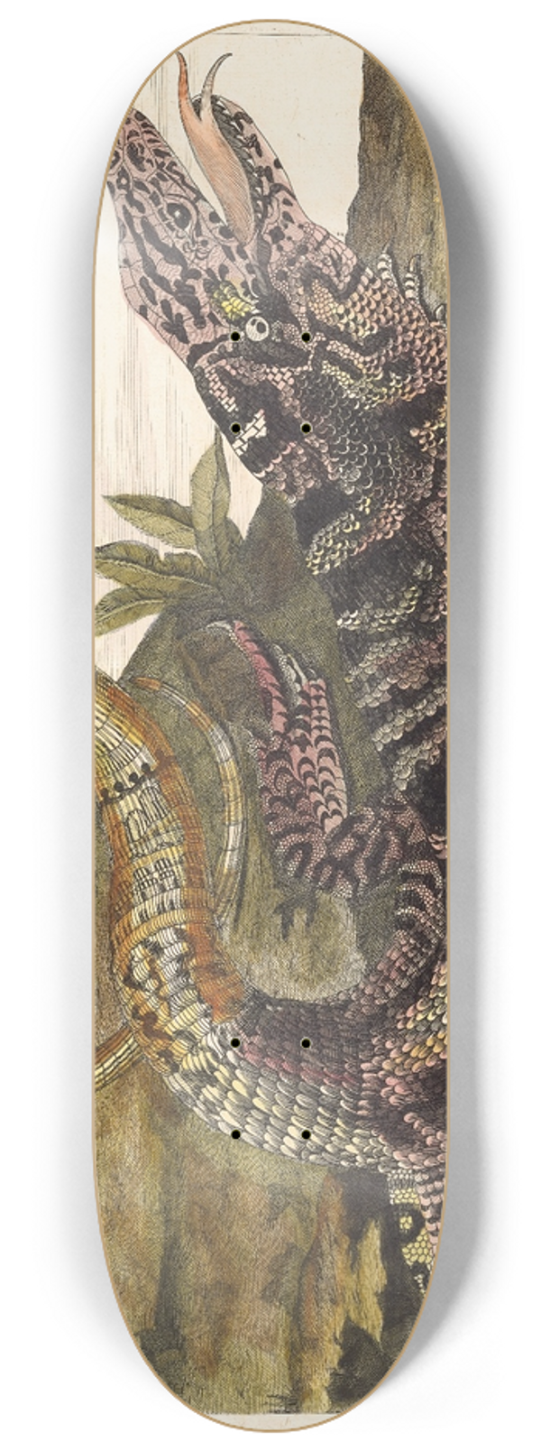 Maria Sibylla Merian - Sauvegarde 8.25 inch art skate deck