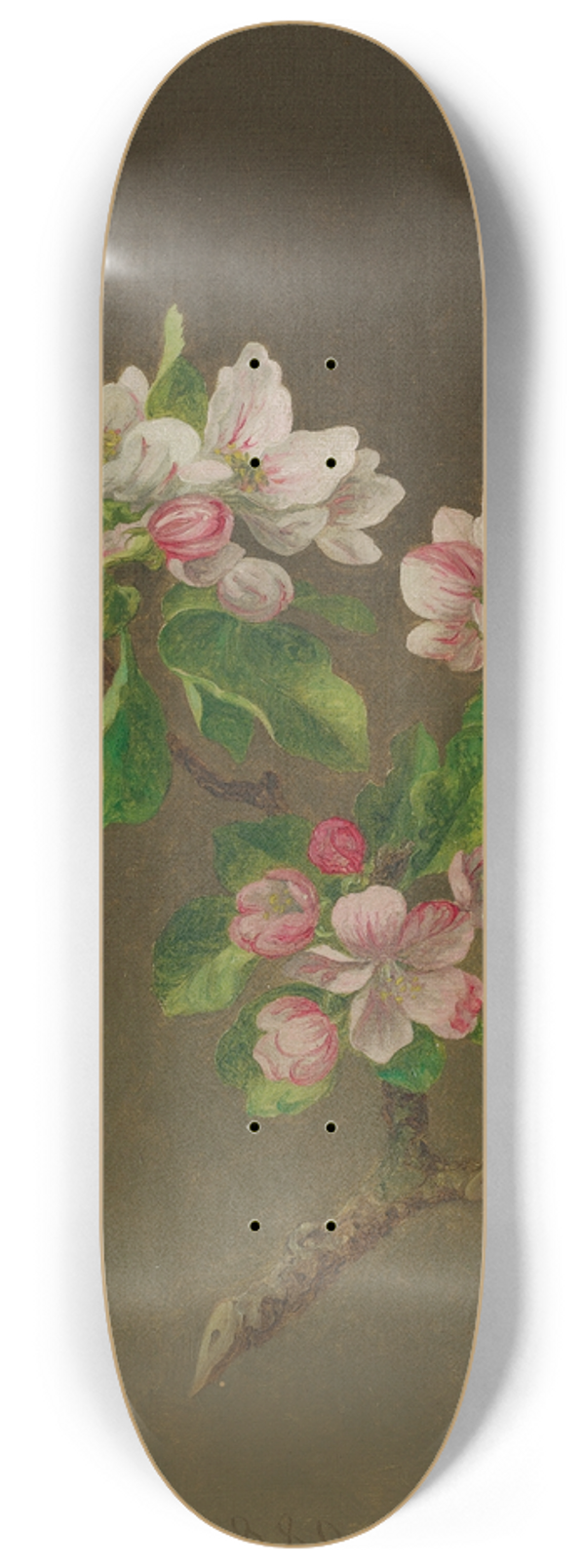 Martin Johnson Heade - APPLE BLOSSOMS 8.25 inch art skate deck