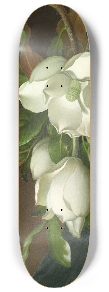 Martin Johnson Heade - Magnolias on Light Blue Velvet Cloth 8.25 inch art skate deck