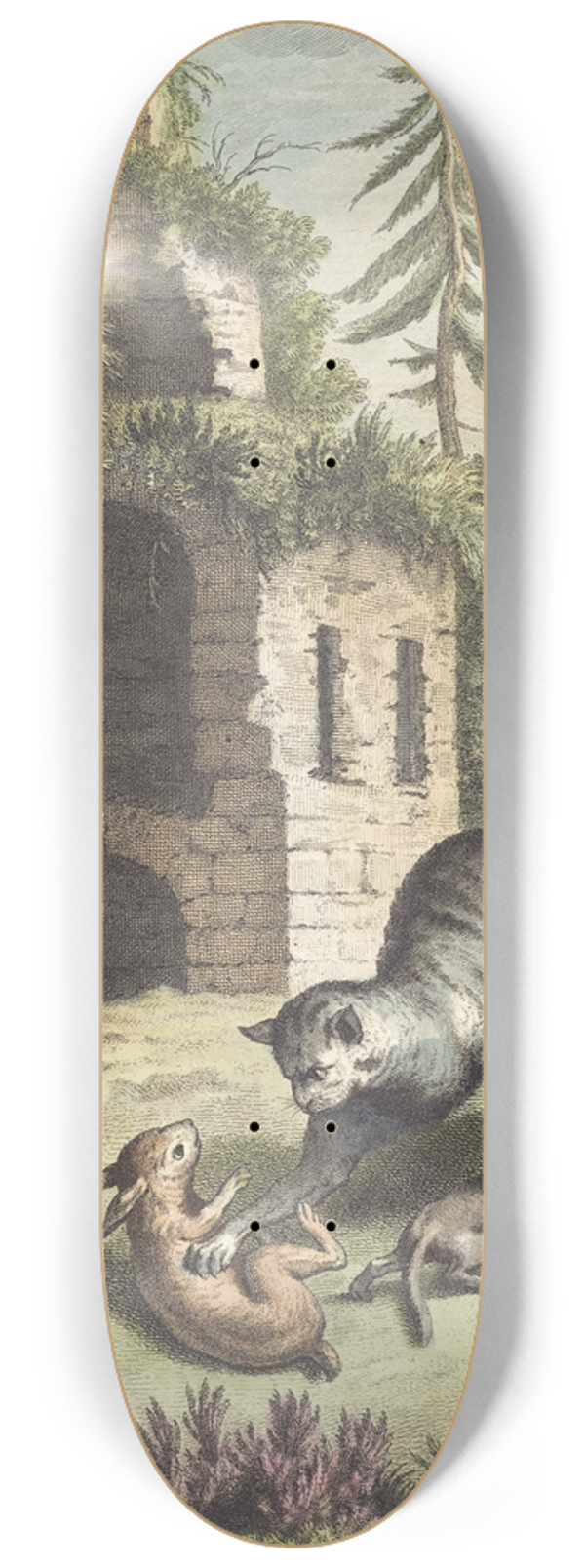 Martin Marvie - Le chat, la balette et le petit lapin (The Cat, the Weasel, and the Rabbit) 8.25 inch art skate deck