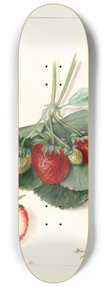 Mary Daisy Arnold - Fragaria: Barrymore 8.25 inch art skate deck