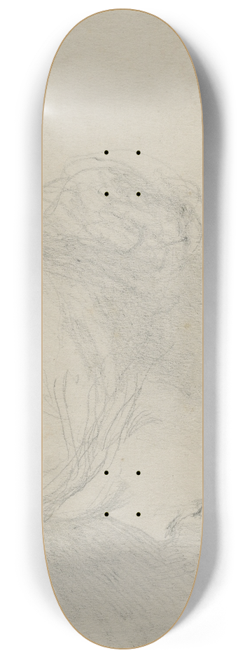 Matthijs Maris - Hoofd van een vrouw 8.25 inch art skate deck