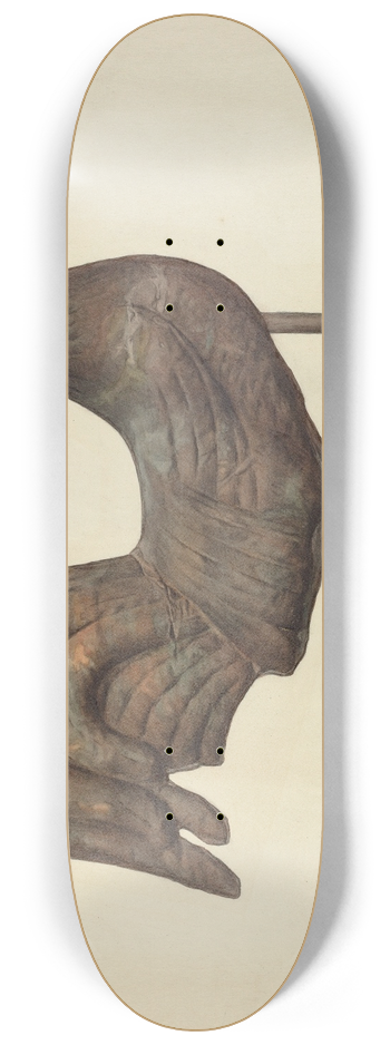 Maurice Blumenfeld - Weather Vane Finial 8.25 inch art skate deck