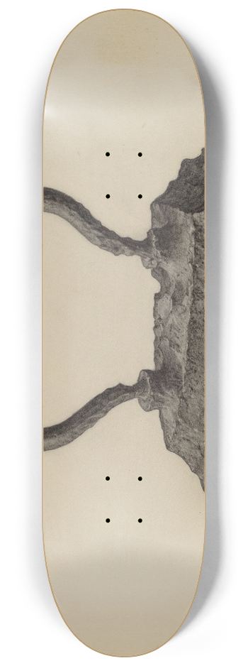 Maurice Van Felix - Flatiron 8.25 inch art skate deck