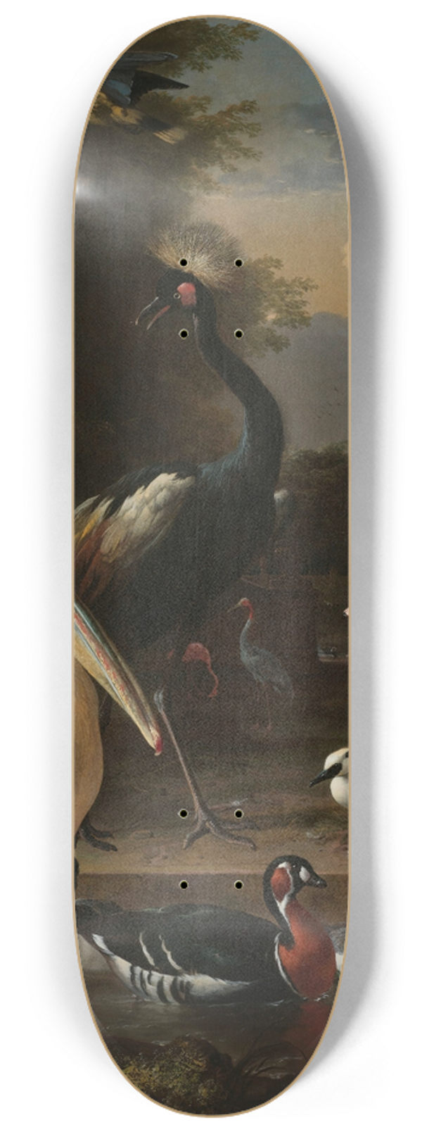 Melchior d'Hondecoeter - A Pelican and other Birds near a Pool, Known as The Floating Feather 8.25 inch art skate deck