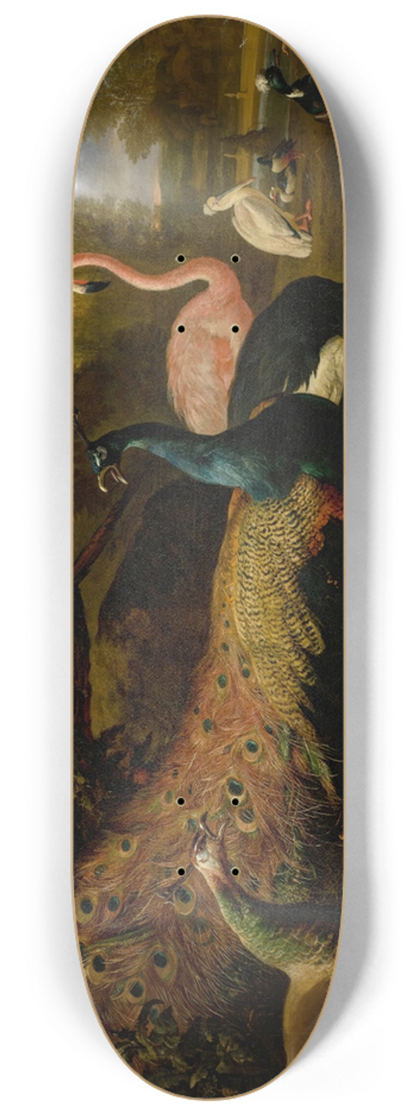Melchior d'Hondecoeter - Exotic fowl, including a peacock and peahen, flamingo, African crane, pheasant, and lapwing, shoveller, pelican and tufted duck 8.25 inch art skate deck
