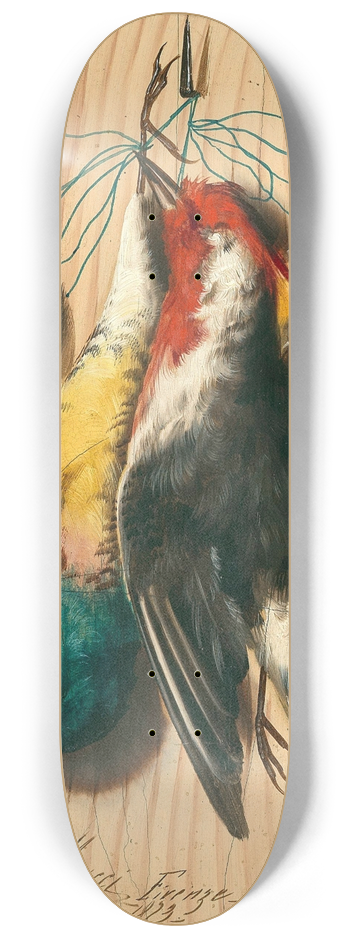 Michelangelo Meucci - Trompe loeil, songbirds 8.25 inch art skate deck
