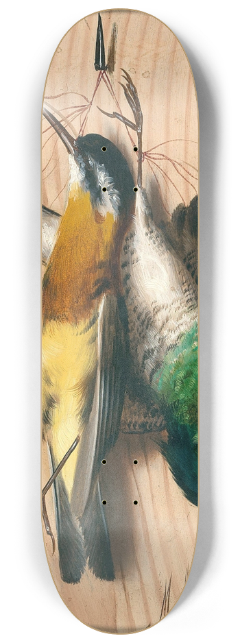 Michelangelo Meucci - Trompe loeil, songbirds 8.25 inch art skate deck