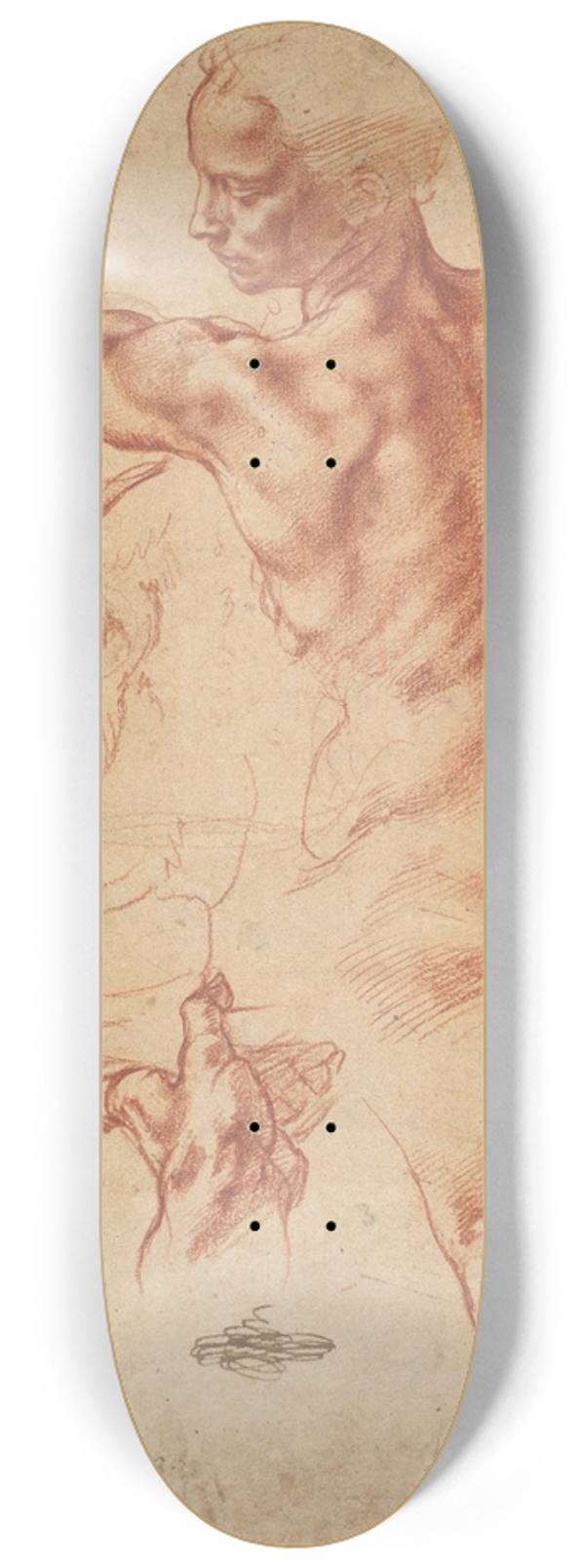 Michelangelo - Studies for the Libyan Sibyl 8.25 inch art skate deck