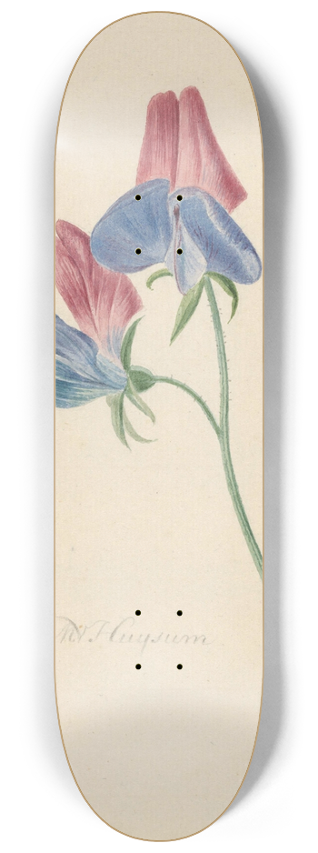 Michiel van Huysum - Tak met twee bloemen 8.25 inch art skate deck