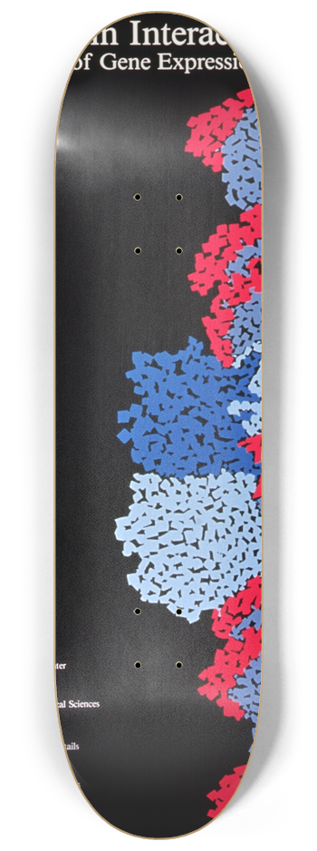 National Institutes of Health - DNA-protein interactions in the control of gene expression 8.25 inch art skate deck