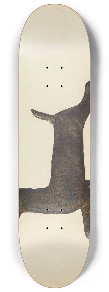 Nicholas Acampora - Weather Vane 8.25 inch art skate deck