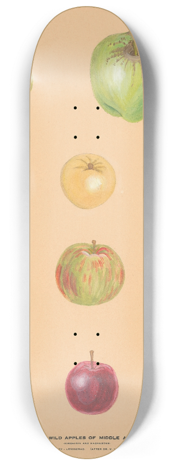 Nikolai Ivanovich Vavilov - The Wild Apples of Middle Asia 2 8.25 inch art skate deck