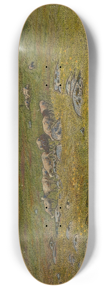 Nils Kreuger - Grazing Sheep 8.25 inch art skate deck