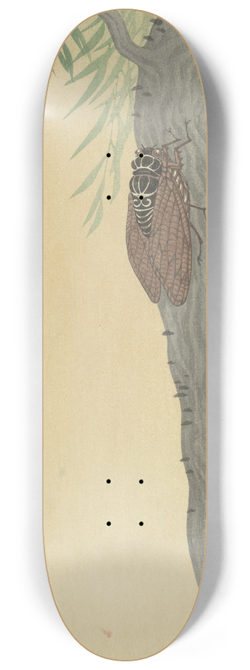 Ohara Koson - Cicada on tree 8.25 inch art skate deck