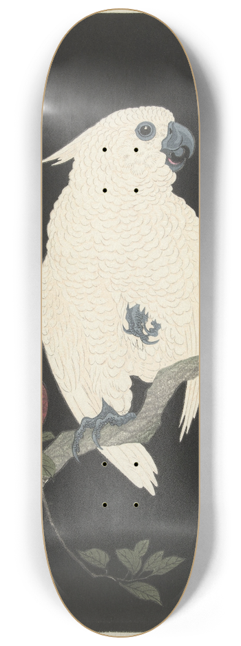 Ohara Koson - Cockatoo and pomegranate 8.25 inch art skate deck
