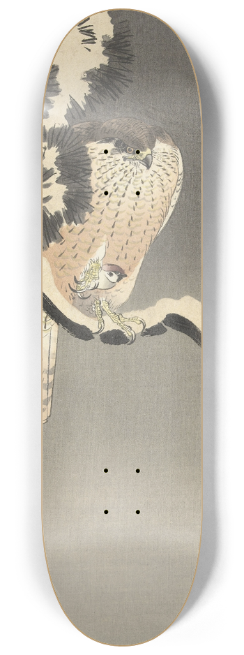 Ohara Koson - Hawk with sparrow 8.25 inch art skate deck