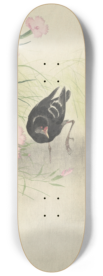 Ohara Koson - Moorhen at flowering plant 8.25 inch art skate deck