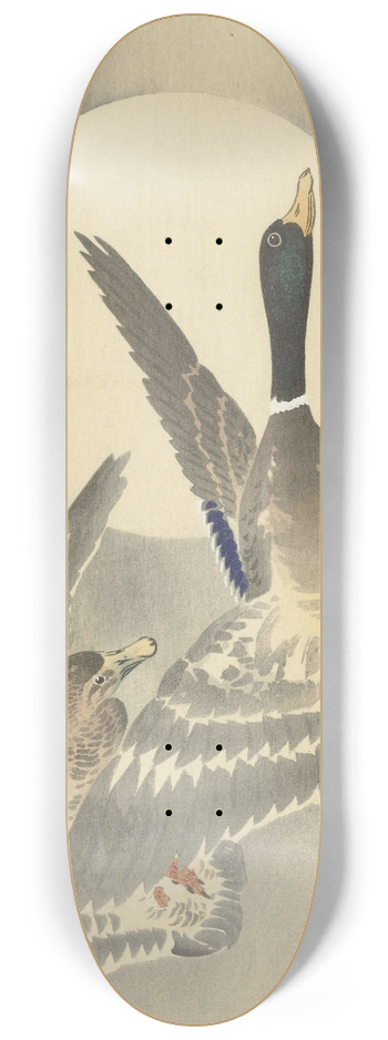 Ohara Koson - Two ducks at full moon 8.25 inch art skate deck