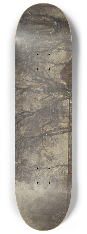 Oscar Trn - Landscape at Skedevi 8.25 inch art skate deck