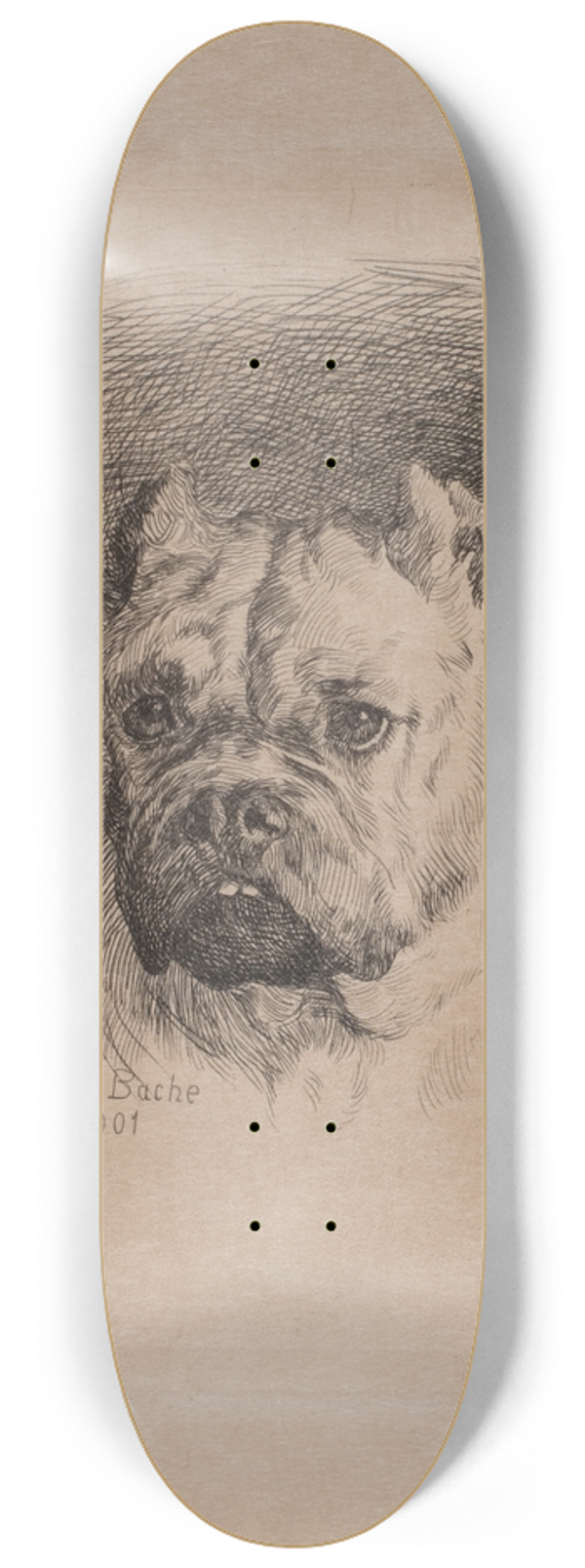Otto Bache - Et hundehoved 8.25 inch art skate deck