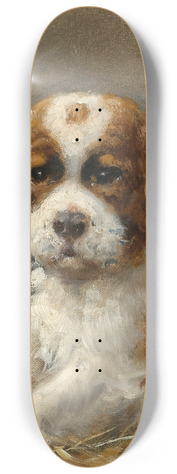 Otto Eerelman - A Young St Bernard 8.25 inch art skate deck