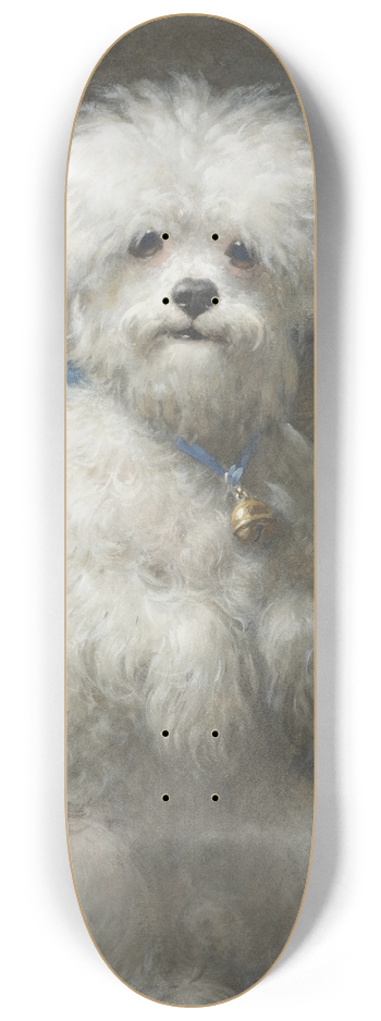 Otto Eerelman - Sitting Up 8.25 inch art skate deck