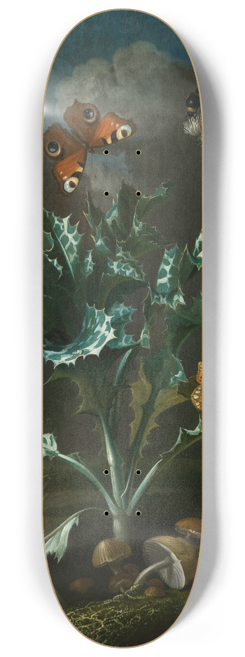 Otto Marseus van Schrieck - Thistles and Butterflies 8.25 inch art skate deck