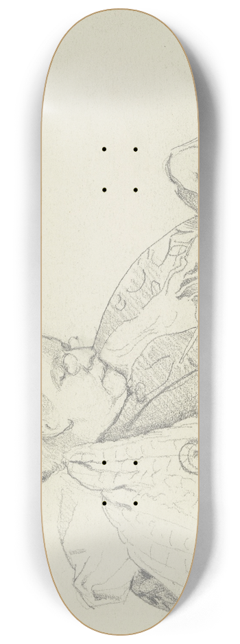 Otto Scholderer - Luise Scholderer schreibend 8.25 inch art skate deck