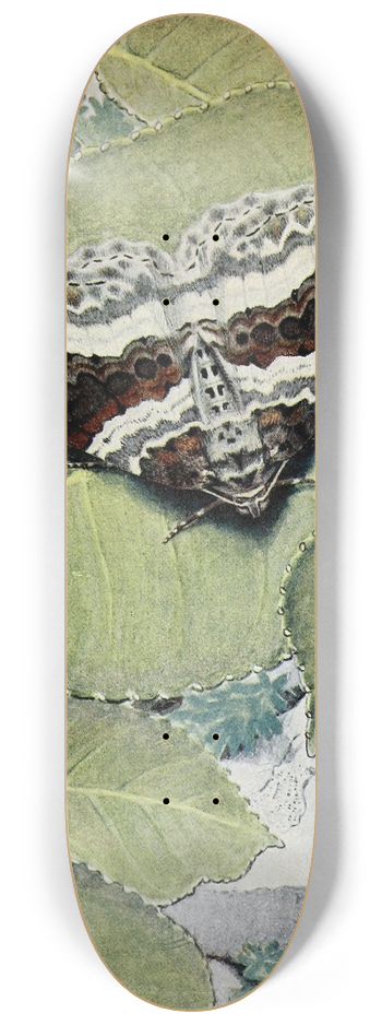 Paul-Andre Robert - La Cidarie Moire 8.25 inch art skate deck