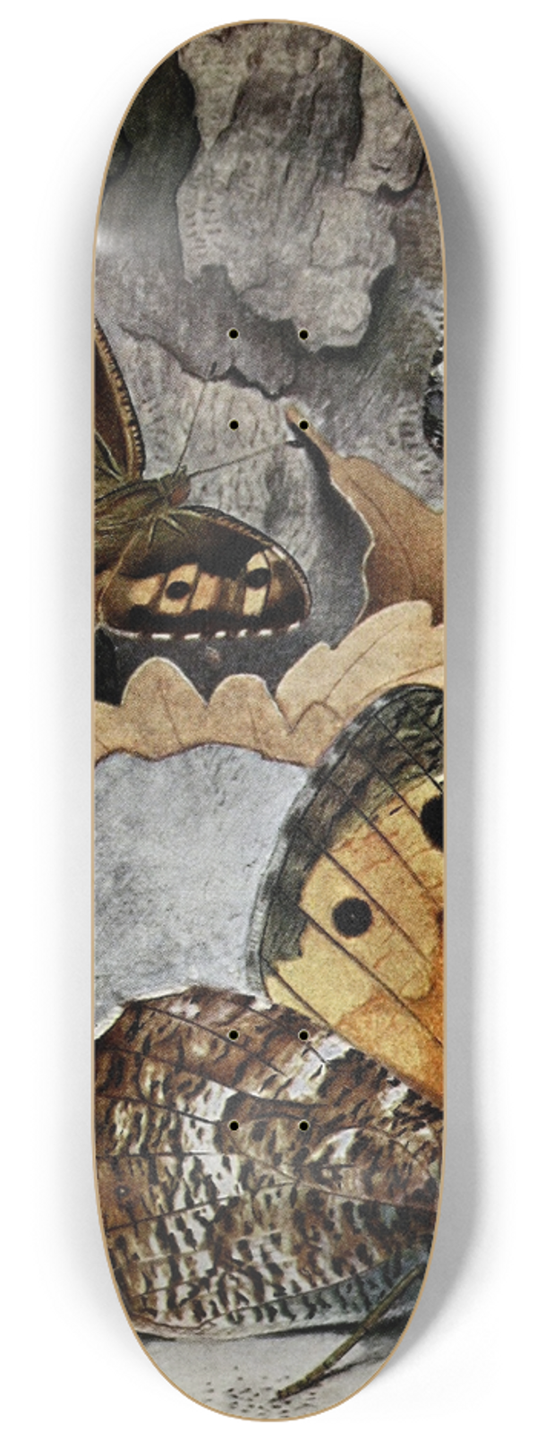 Paul-Andre Robert - LAgreste 8.25 inch art skate deck