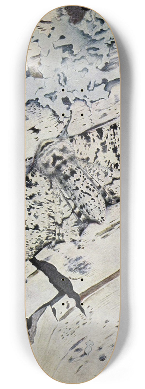 Paul-Andre Robert - La Phalne du bouleau 8.25 inch art skate deck