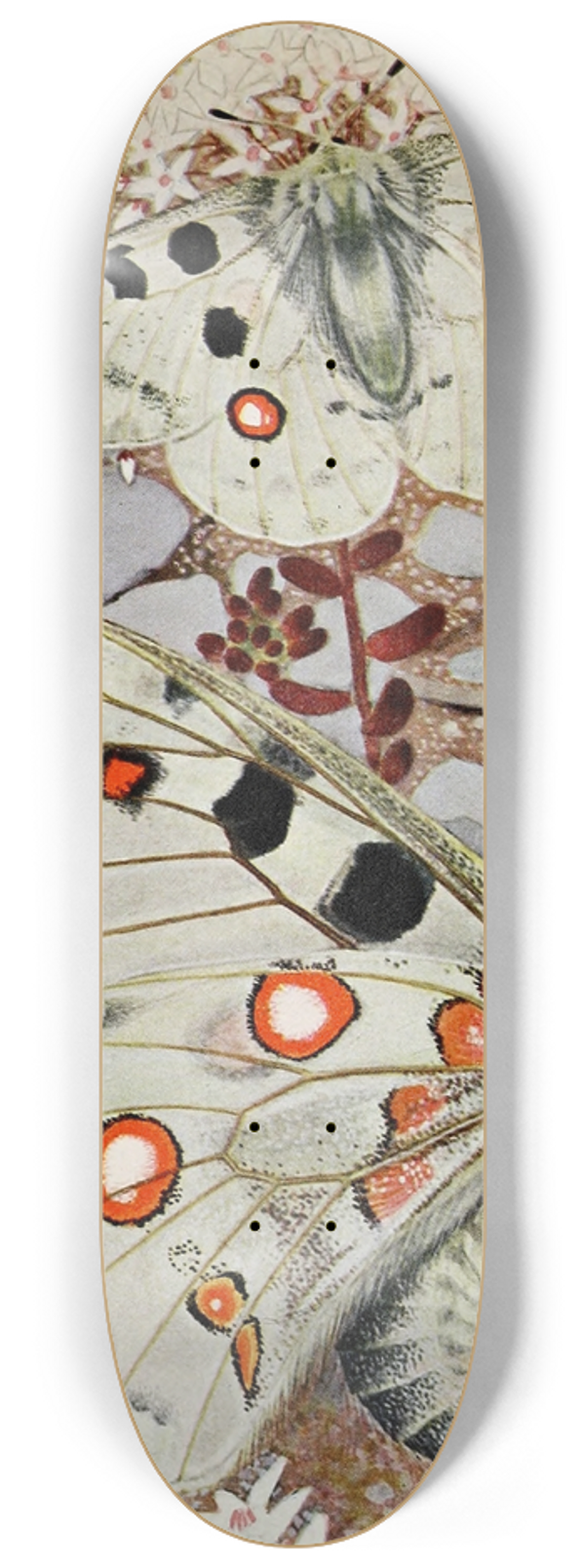 Paul-Andre Robert - LAppollon 8.25 inch art skate deck