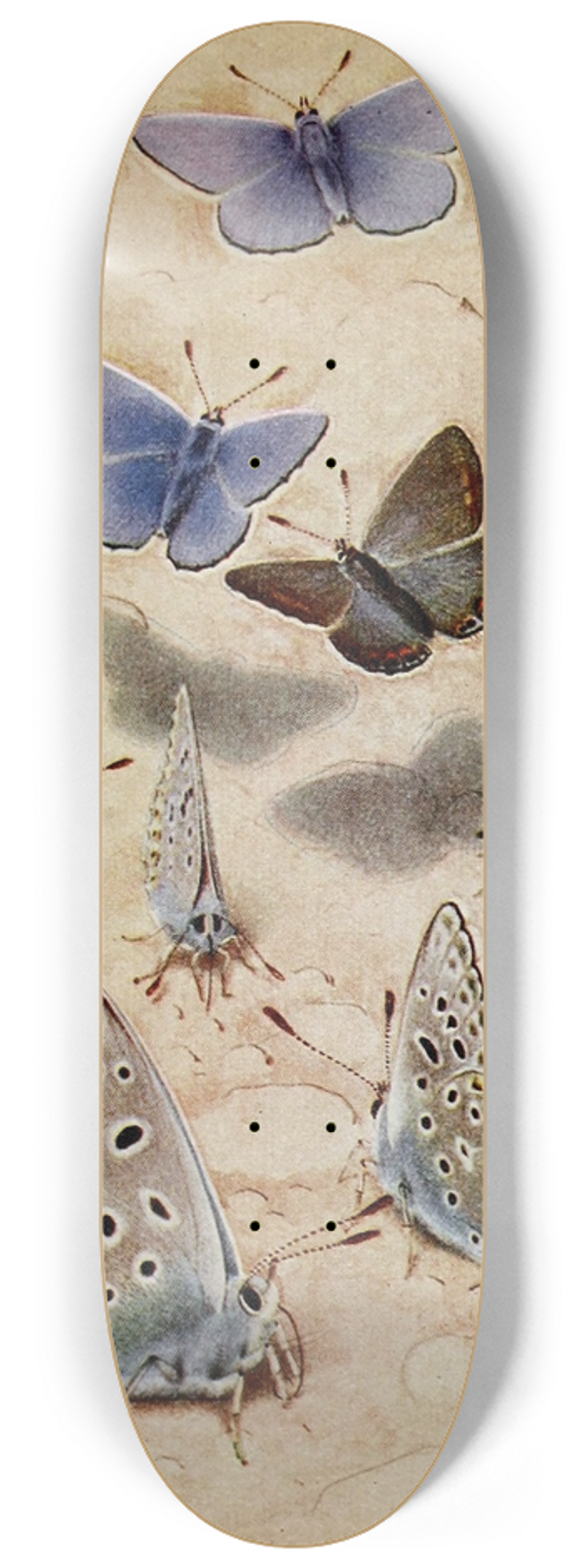 Paul-Andre Robert - LArgus Bleu Cleste 8.25 inch art skate deck