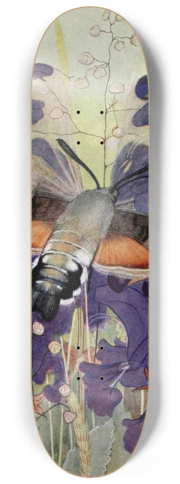 Paul-Andre Robert - Le Moro-Sphinx 8.25 inch art skate deck