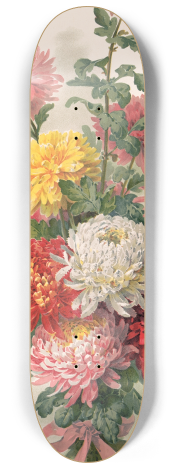 Paul de Longpre - Chrysanthemums 8.25 inch art skate deck