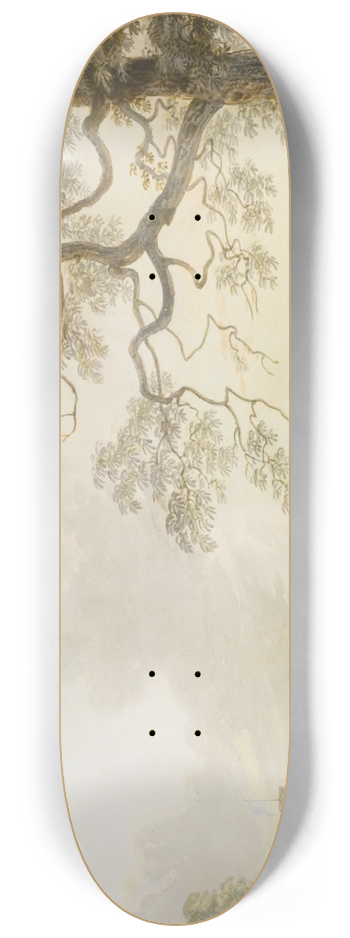 Paul Sandby - Woolwich 8.25 inch art skate deck