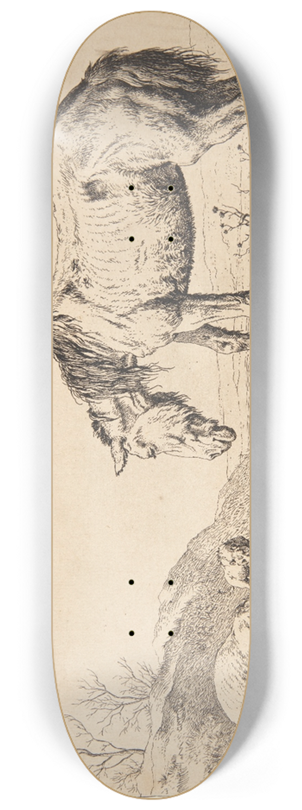 Paulus Potter - To g, det ene dende 8.25 inch art skate deck