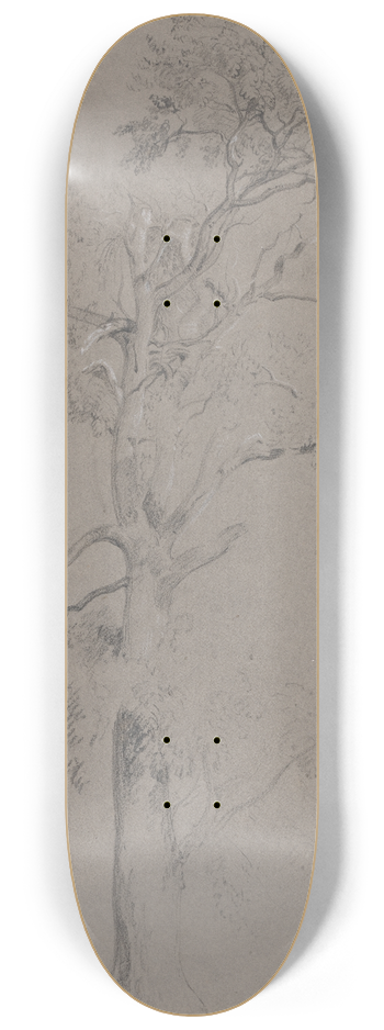 Peter DeWint - Ash Tree in Ashstead Park 8.25 inch art skate deck