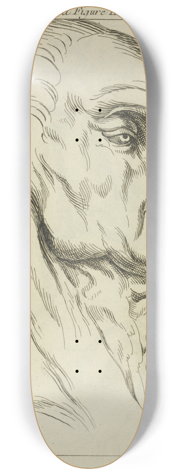 Peter Paul Rubens - Head of a man 8.25 inch art skate deck