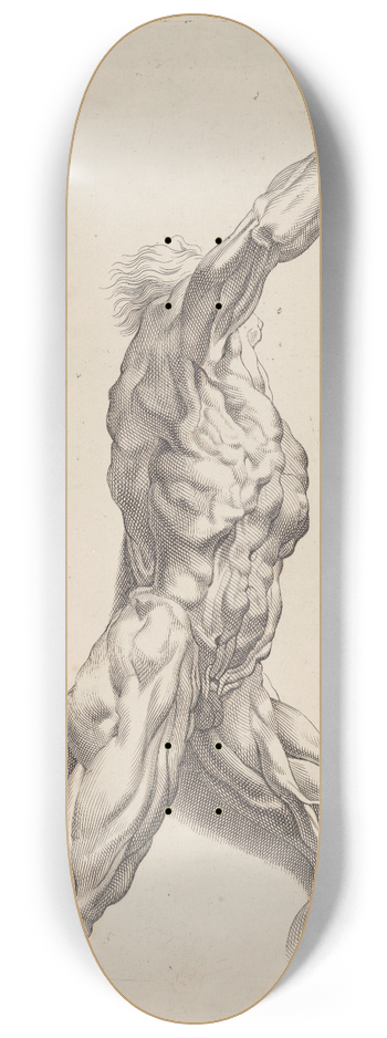 Peter Paul Rubens - Nude Study 8.25 inch art skate deck